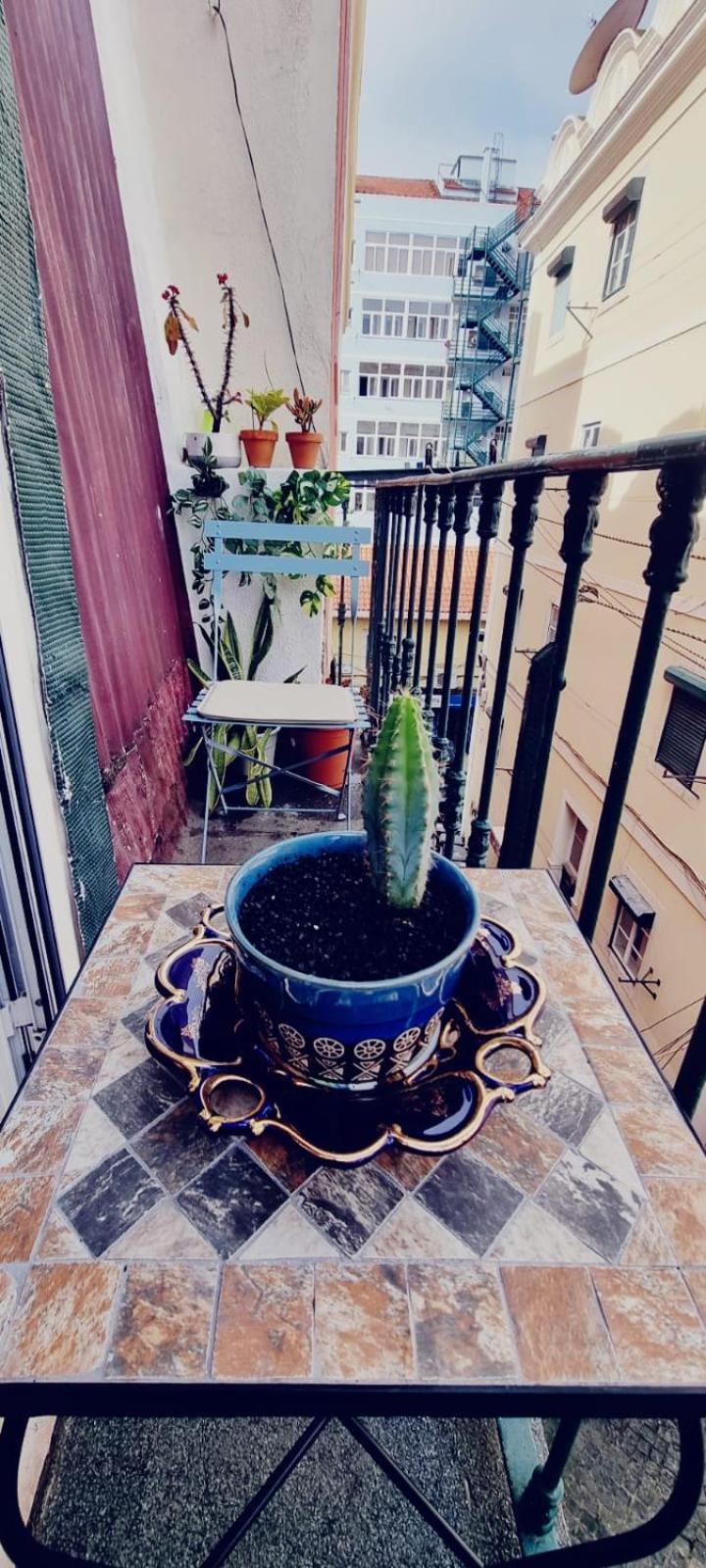 Charming Central Apartment To Rent Lissabon Exterior foto